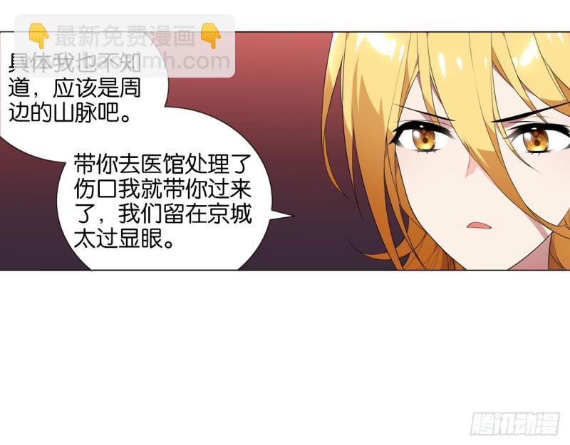 《放开那只白凤凰（如鸾）》血脉（上） 第29页