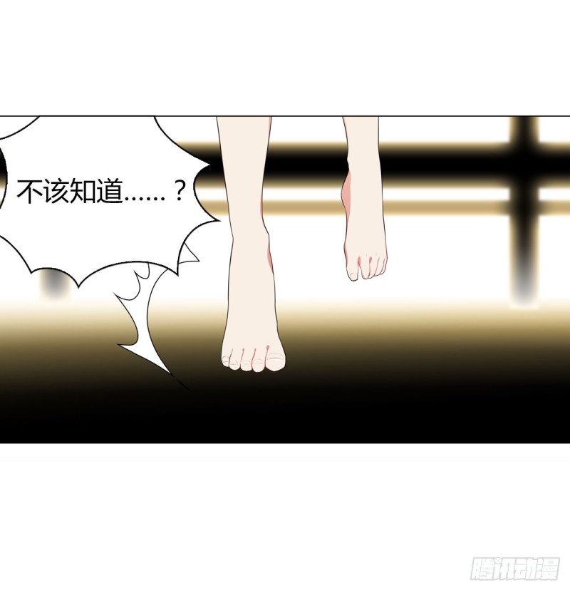 《放开那只白凤凰（如鸾）》火（上） 第16页