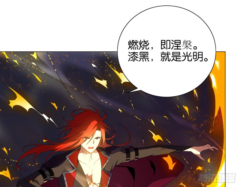 《放开那只白凤凰（如鸾）》业火红莲（下） 第24页