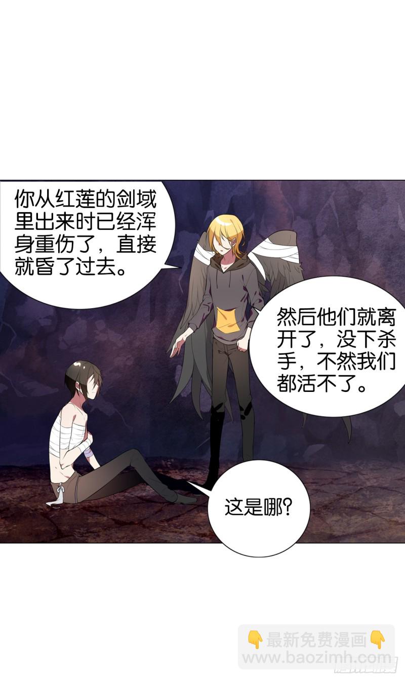 《放开那只白凤凰（如鸾）》血脉（上） 第28页