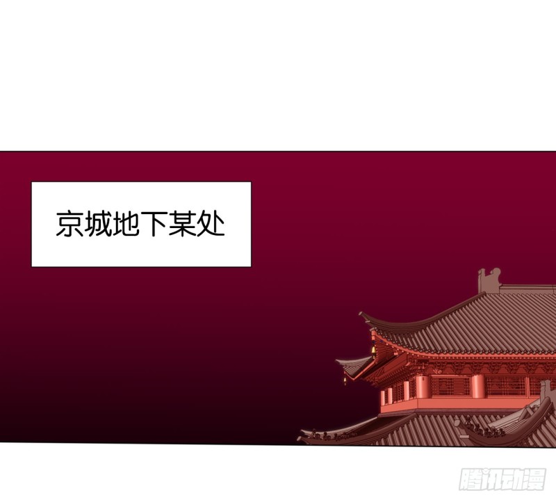 《放开那只白凤凰（如鸾）》血脉（上） 第42页