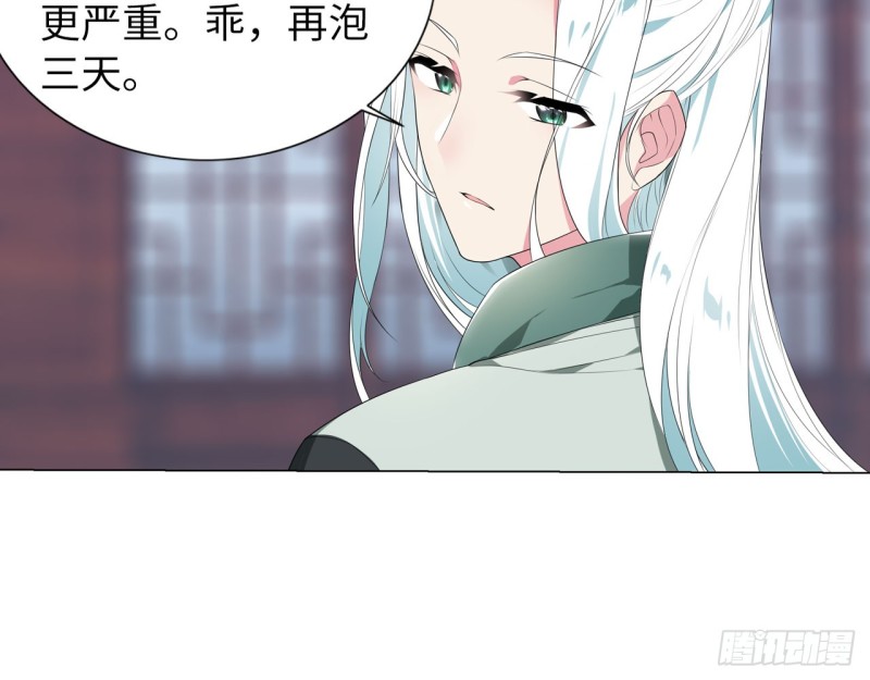 《放开那只白凤凰（如鸾）》神医与刺客（上） 第29页