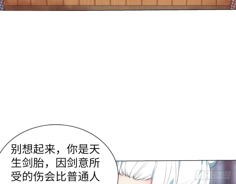 《放开那只白凤凰（如鸾）》神医与刺客（上） 第28页
