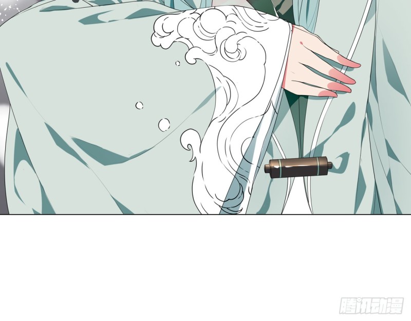 《放开那只白凤凰（如鸾）》神医与刺客（下） 第41页