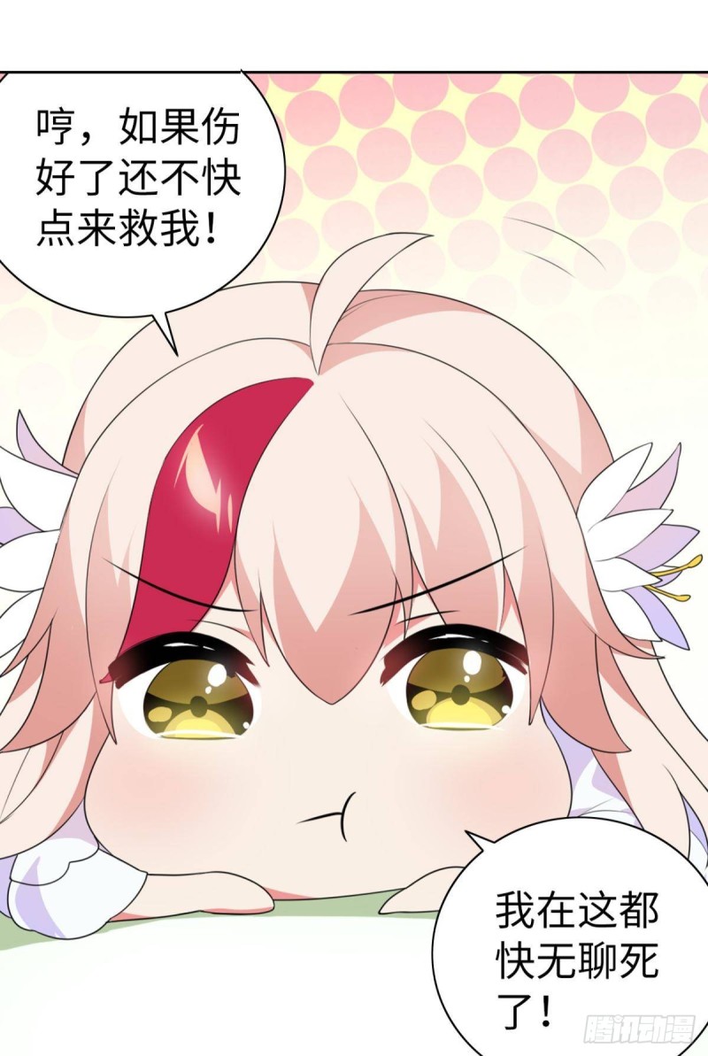 《放开那只白凤凰（如鸾）》宫（二） 第5页