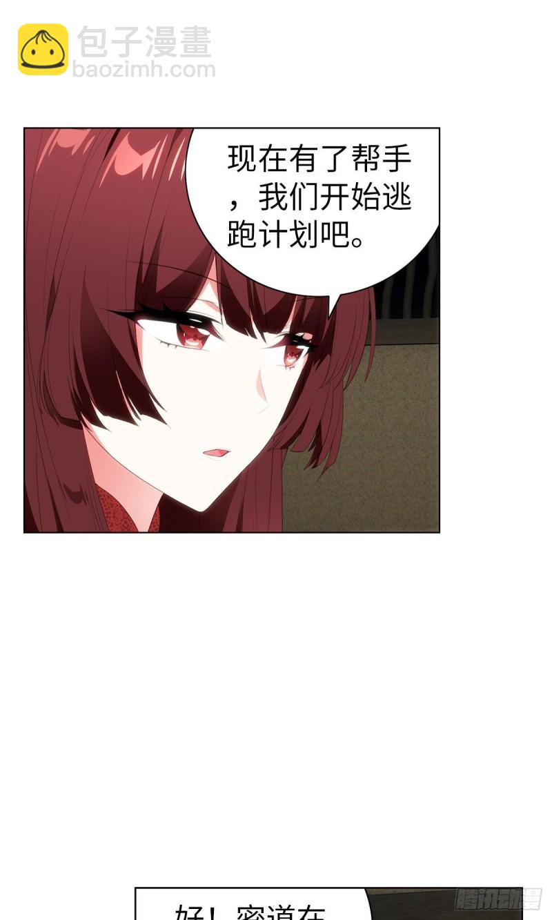 《放开那只白凤凰（如鸾）》红莲再现（上） 第2页