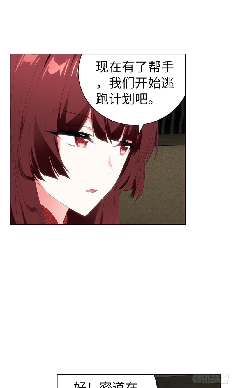 《放开那只白凤凰（如鸾）》红莲再现（上） 第2页