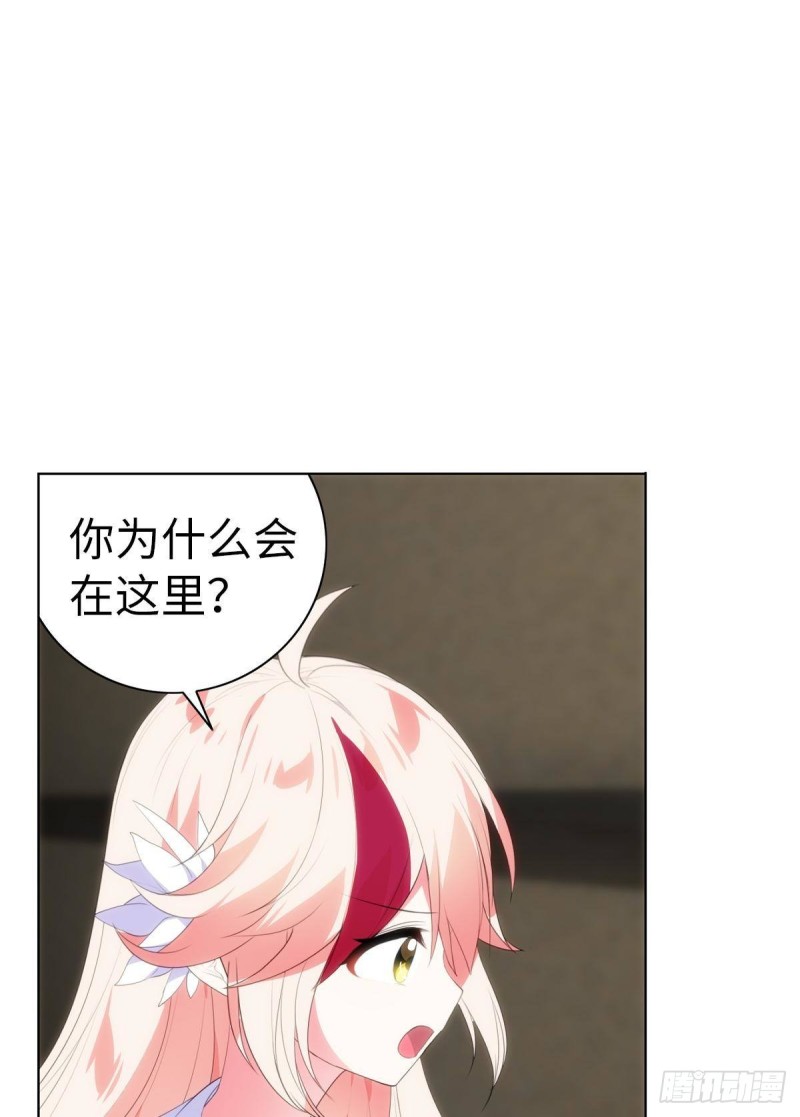 《放开那只白凤凰（如鸾）》红莲再现（上） 第43页