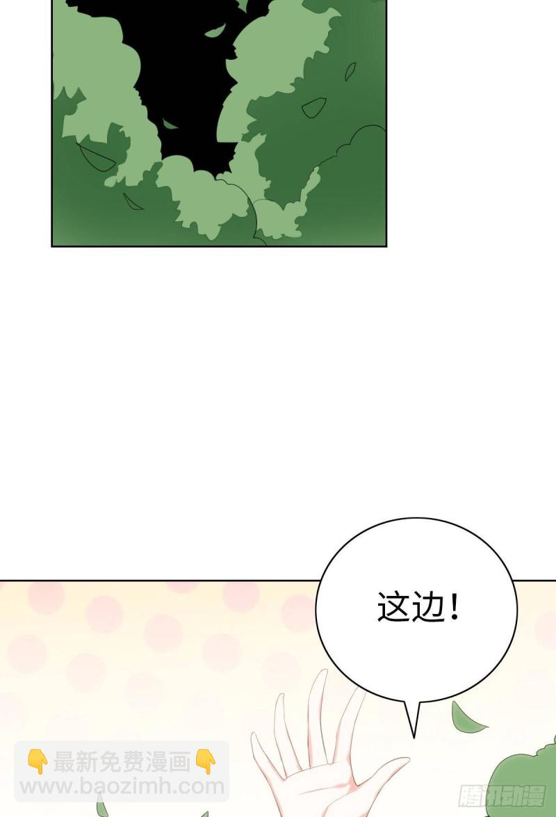 《放开那只白凤凰（如鸾）》再会 第18页