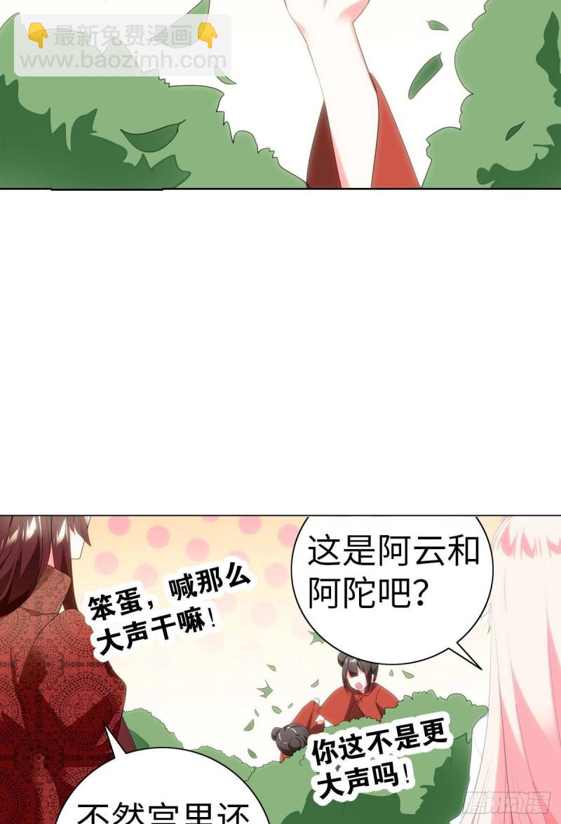 《放开那只白凤凰（如鸾）》再会 第19页