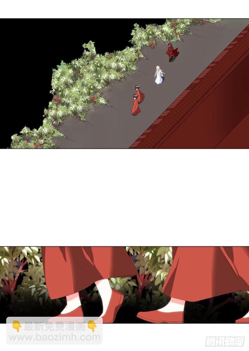 《放开那只白凤凰（如鸾）》再会 第22页