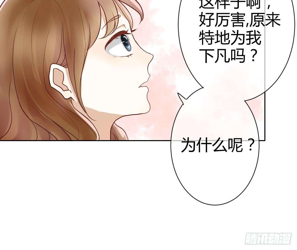 《爱情漫过流星》她为何不许愿！ 第18页