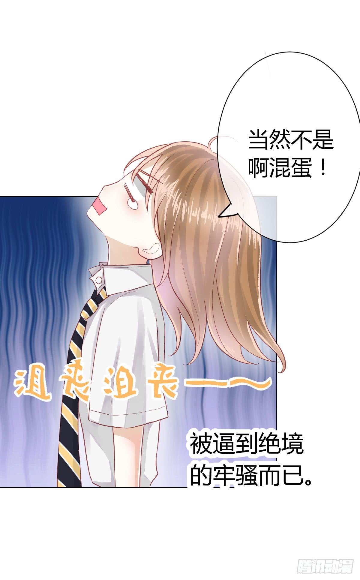 《爱情漫过流星》传达不到的愿望 第25页