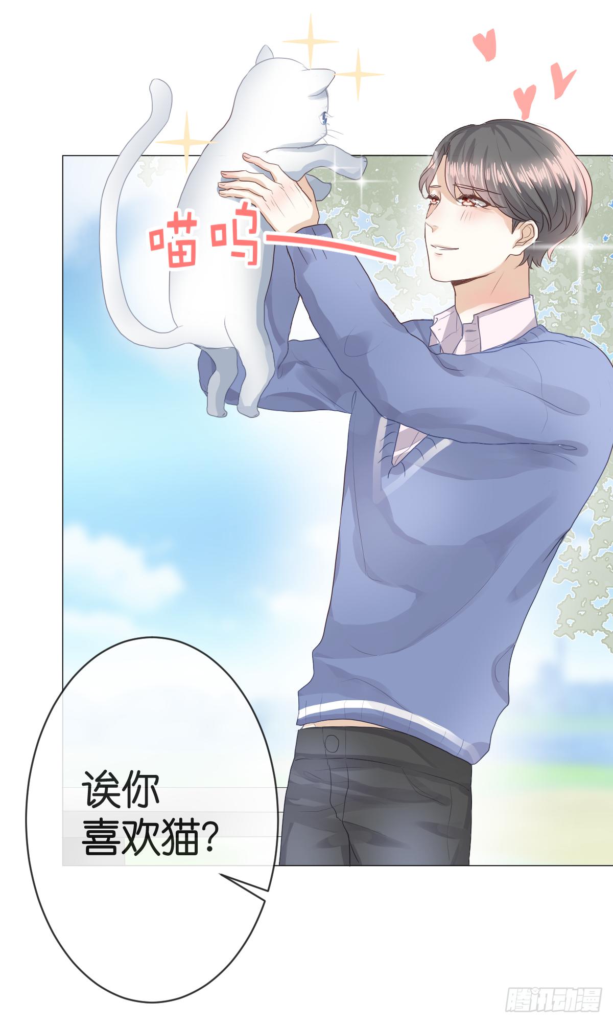 《爱情漫过流星》我只想给你给你宠爱 第39页