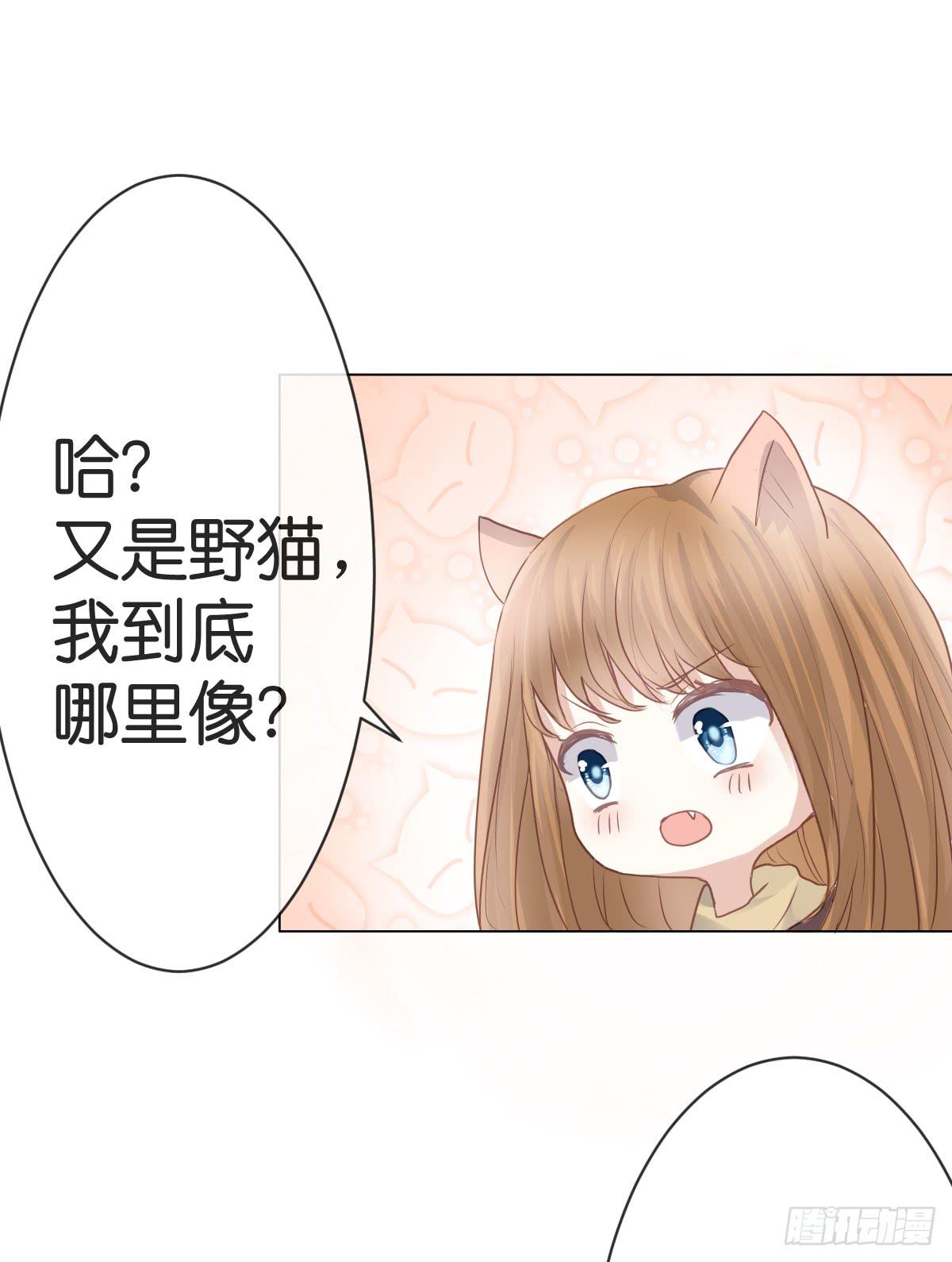 《爱情漫过流星》不要忘了我... 第23页
