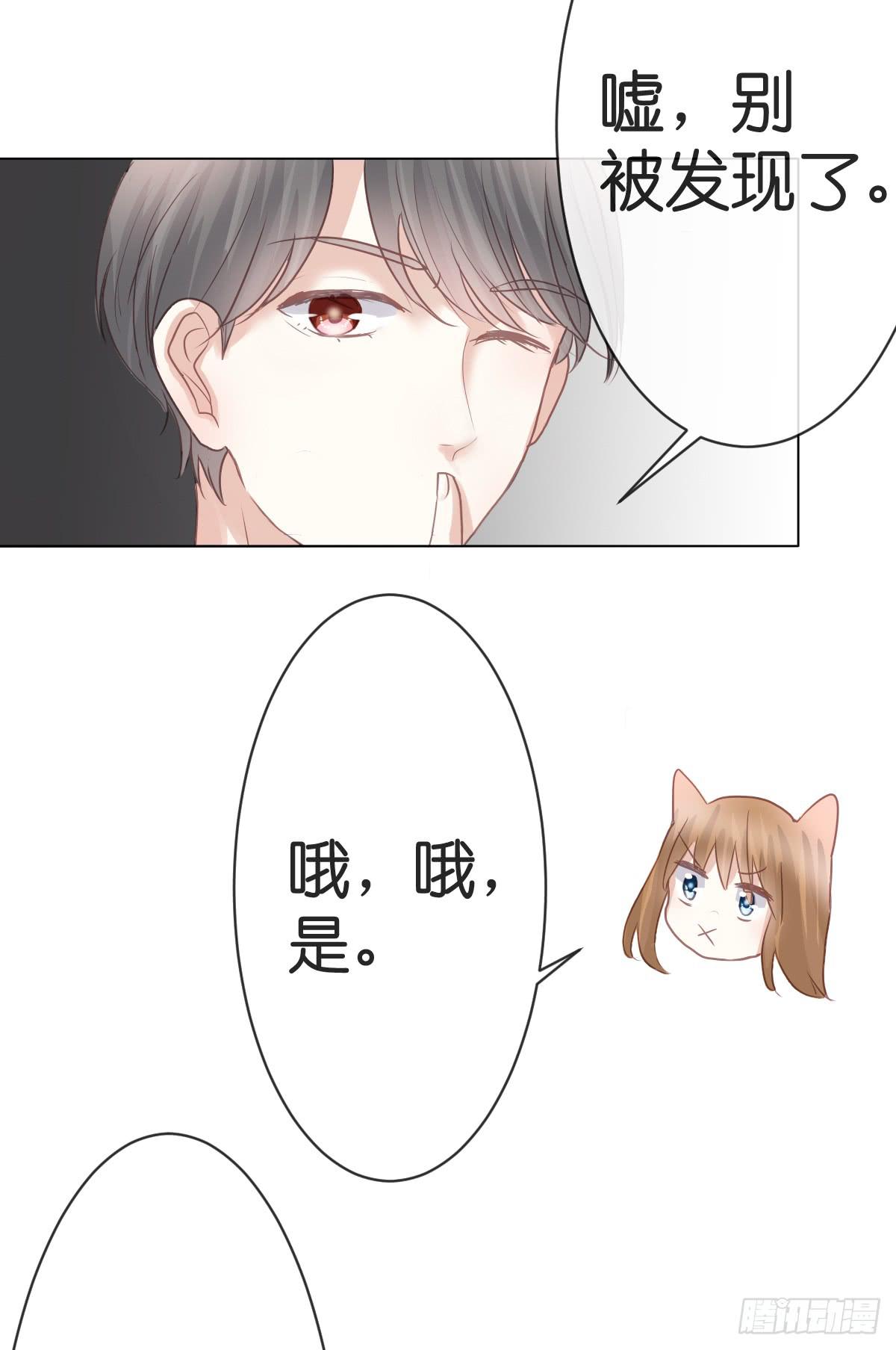 《爱情漫过流星》不要忘了我... 第24页