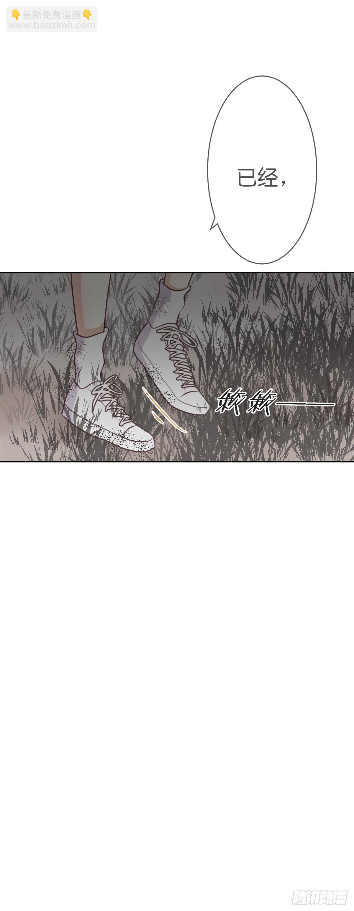 《爱情漫过流星》你要的余生 第29页