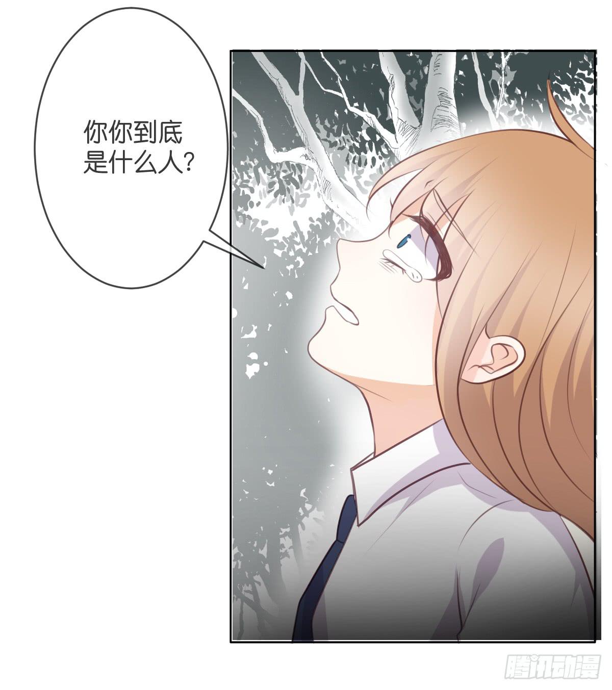 《爱情漫过流星》被附身了 第4页