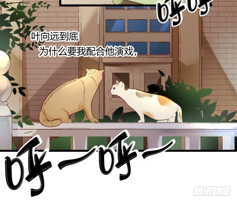 《步步为营教授老婆请入瓮》38 南南相亲记 第3页