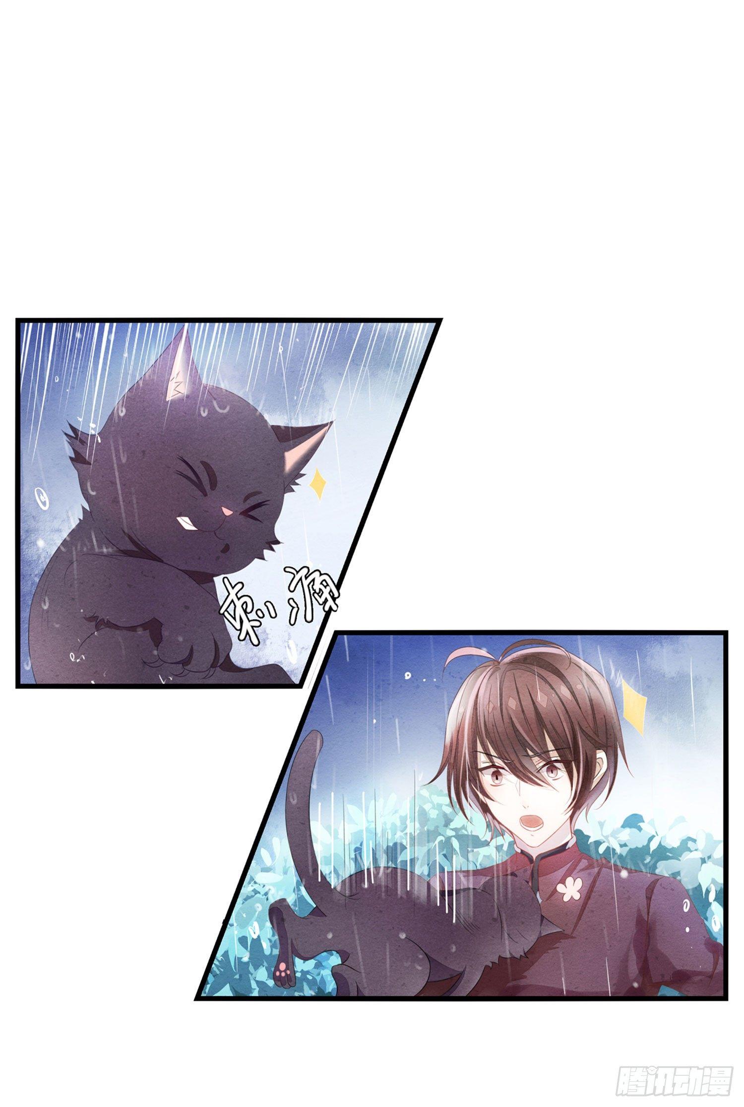 《做我的猫》预告 第8页