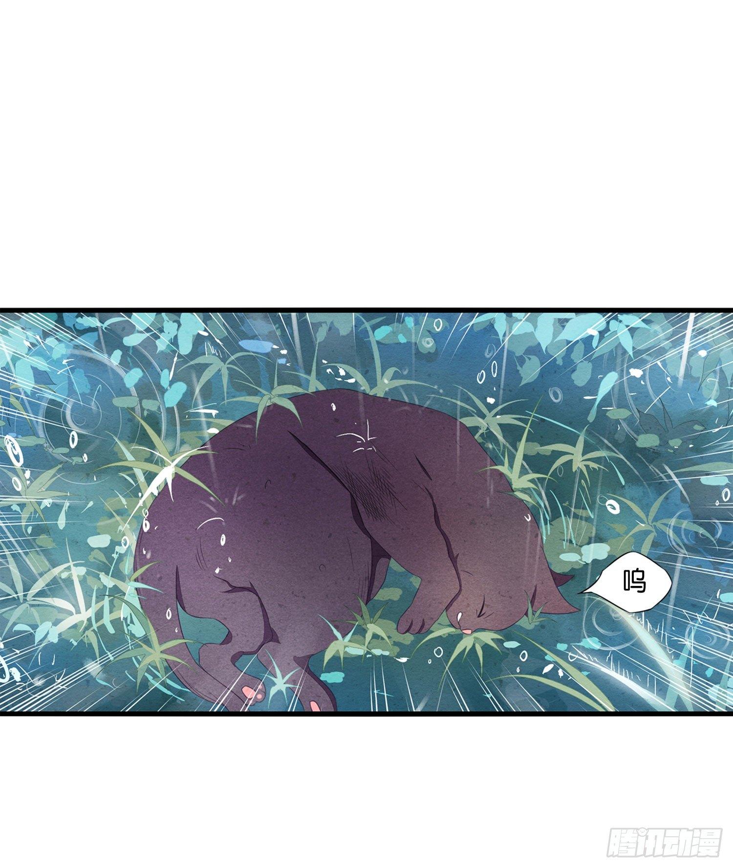 《做我的猫》预告 第9页