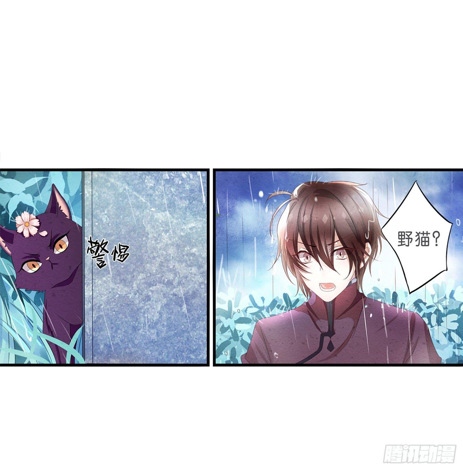 《做我的猫》预告 第6页
