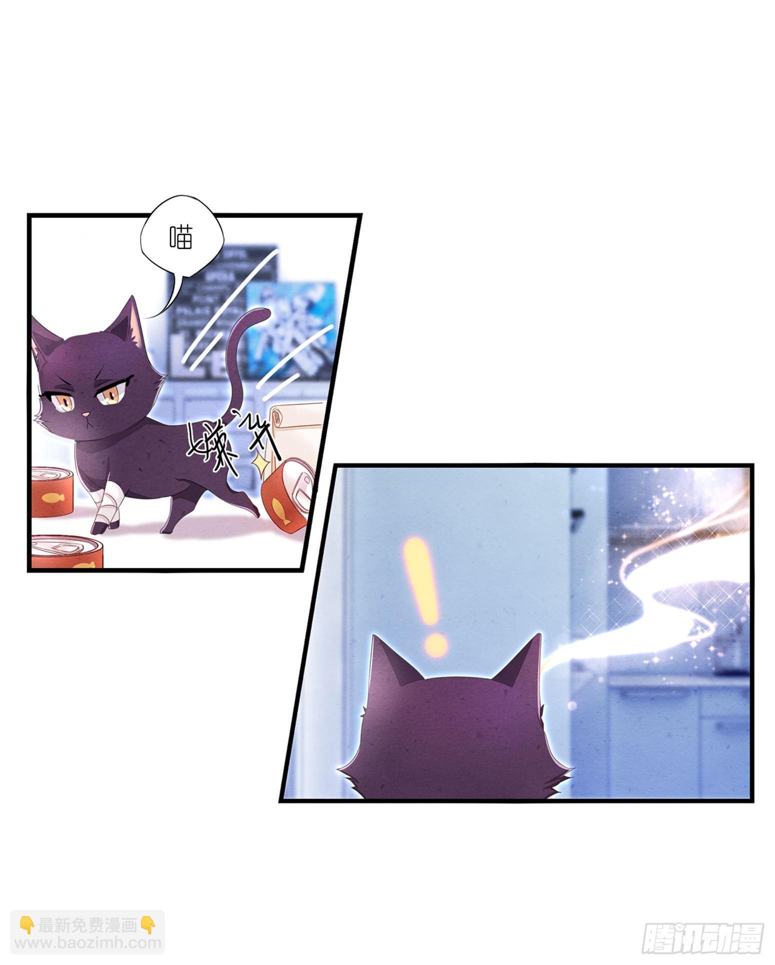 《做我的猫》02 卖萌可耻但有用 第15页