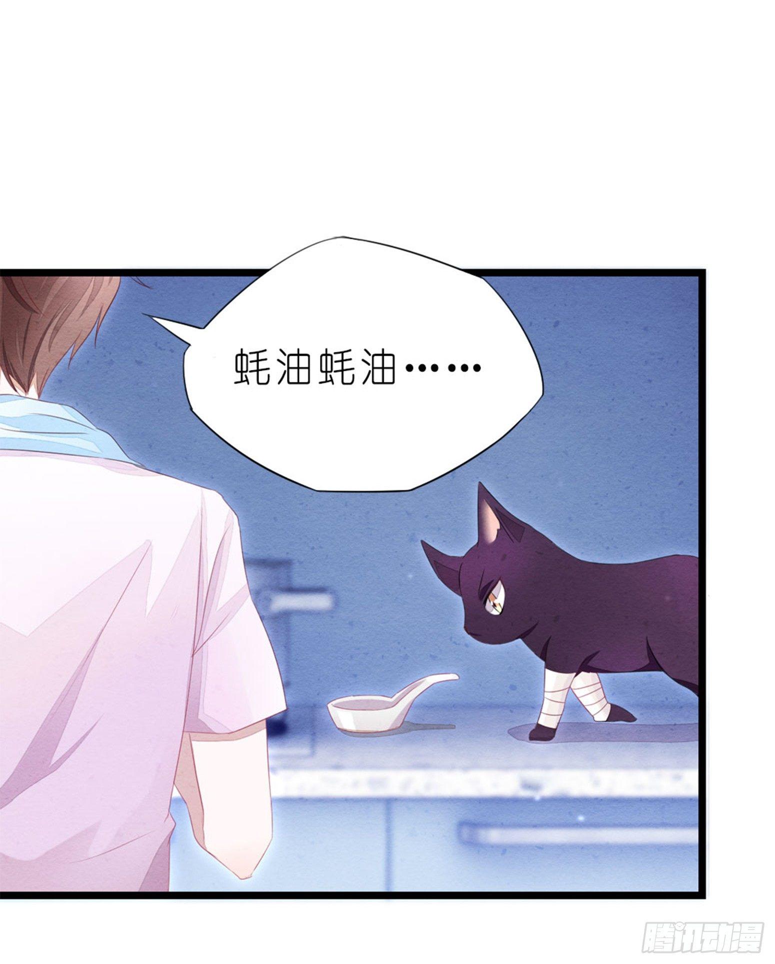《做我的猫》02 卖萌可耻但有用 第18页