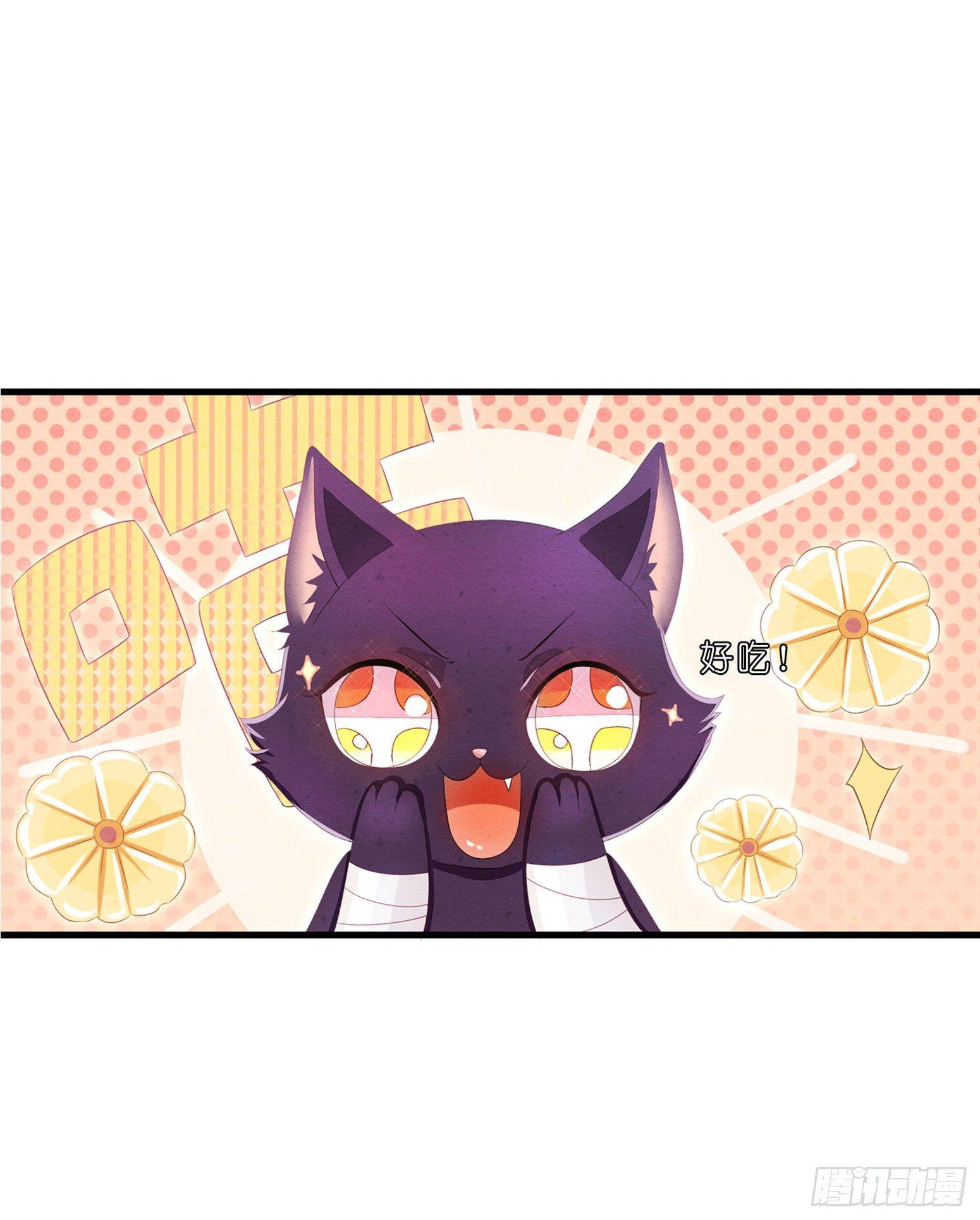《做我的猫》02 卖萌可耻但有用 第20页