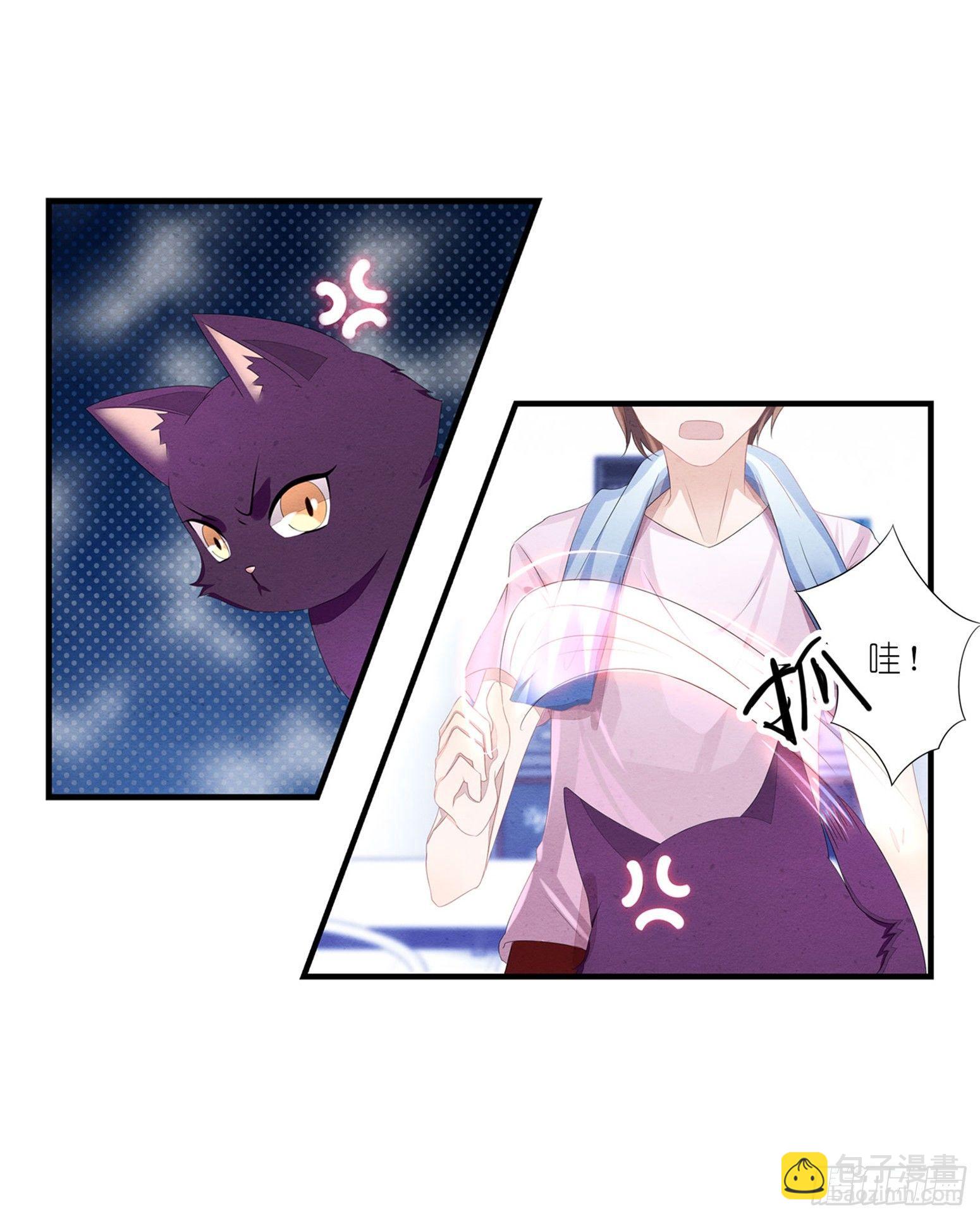 《做我的猫》02 卖萌可耻但有用 第22页