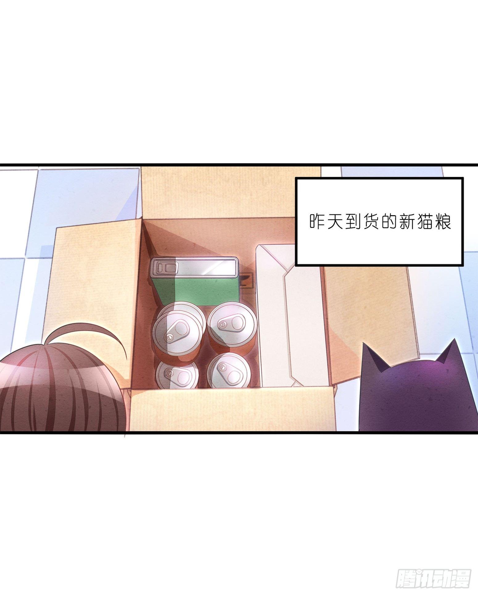 《做我的猫》02 卖萌可耻但有用 第5页