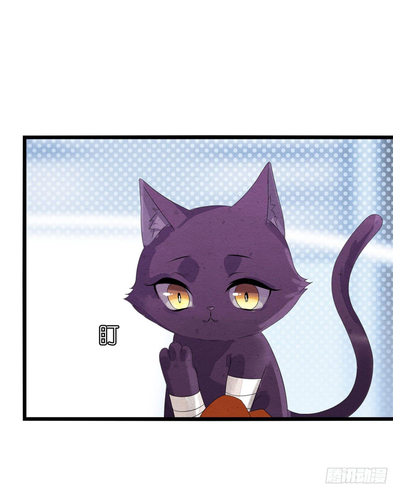 《做我的猫》03 秃了也强了 第10页