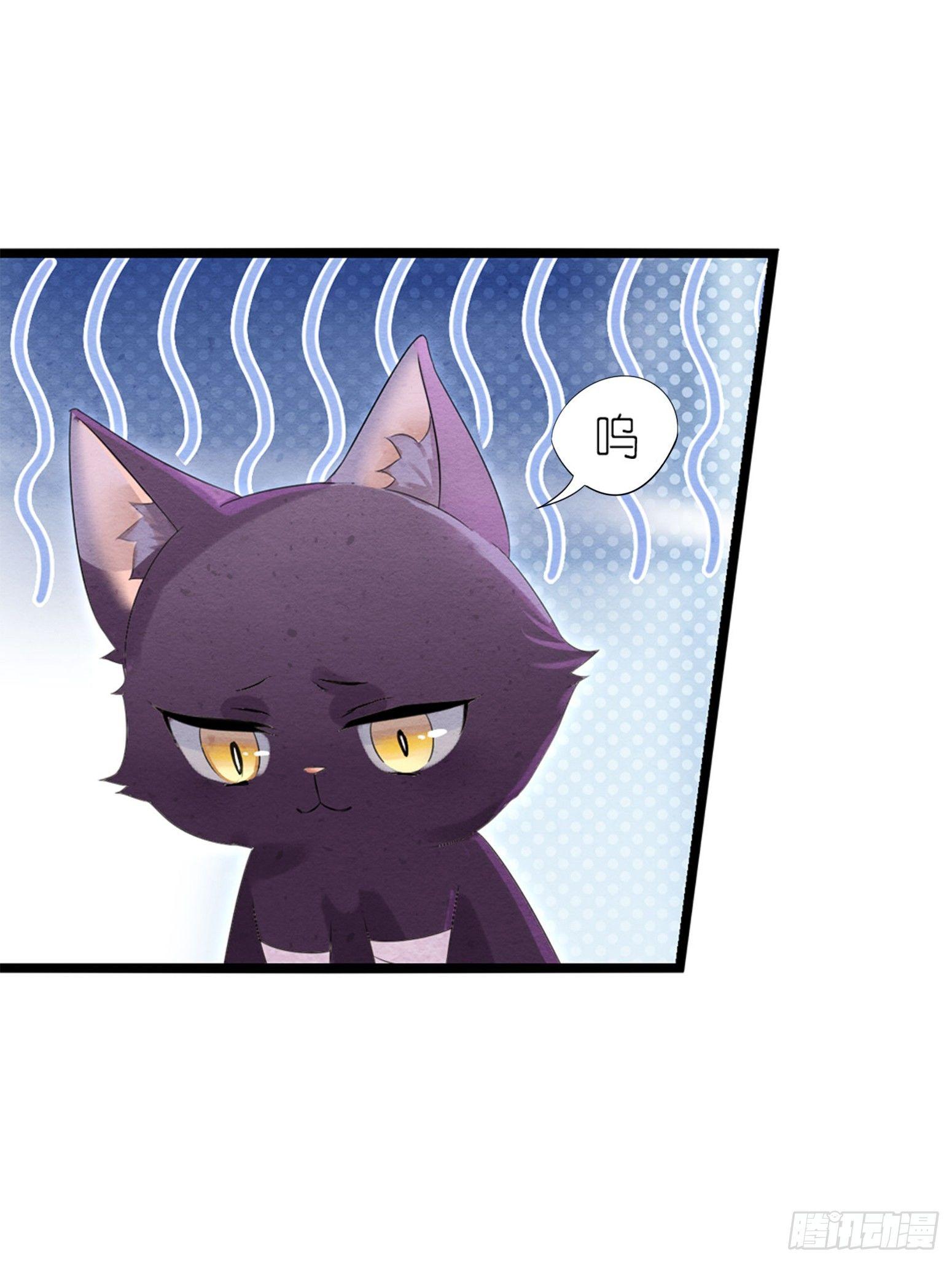 《做我的猫》03 秃了也强了 第15页