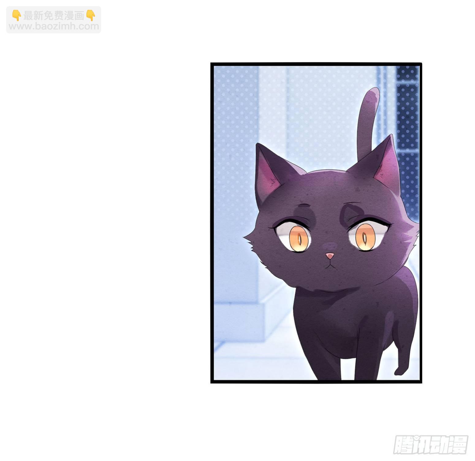 《做我的猫》03 秃了也强了 第22页
