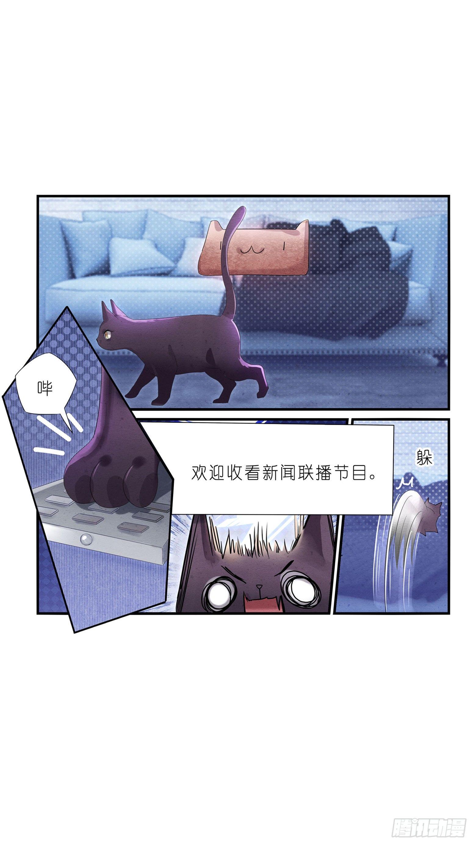 《做我的猫》03 秃了也强了 第23页