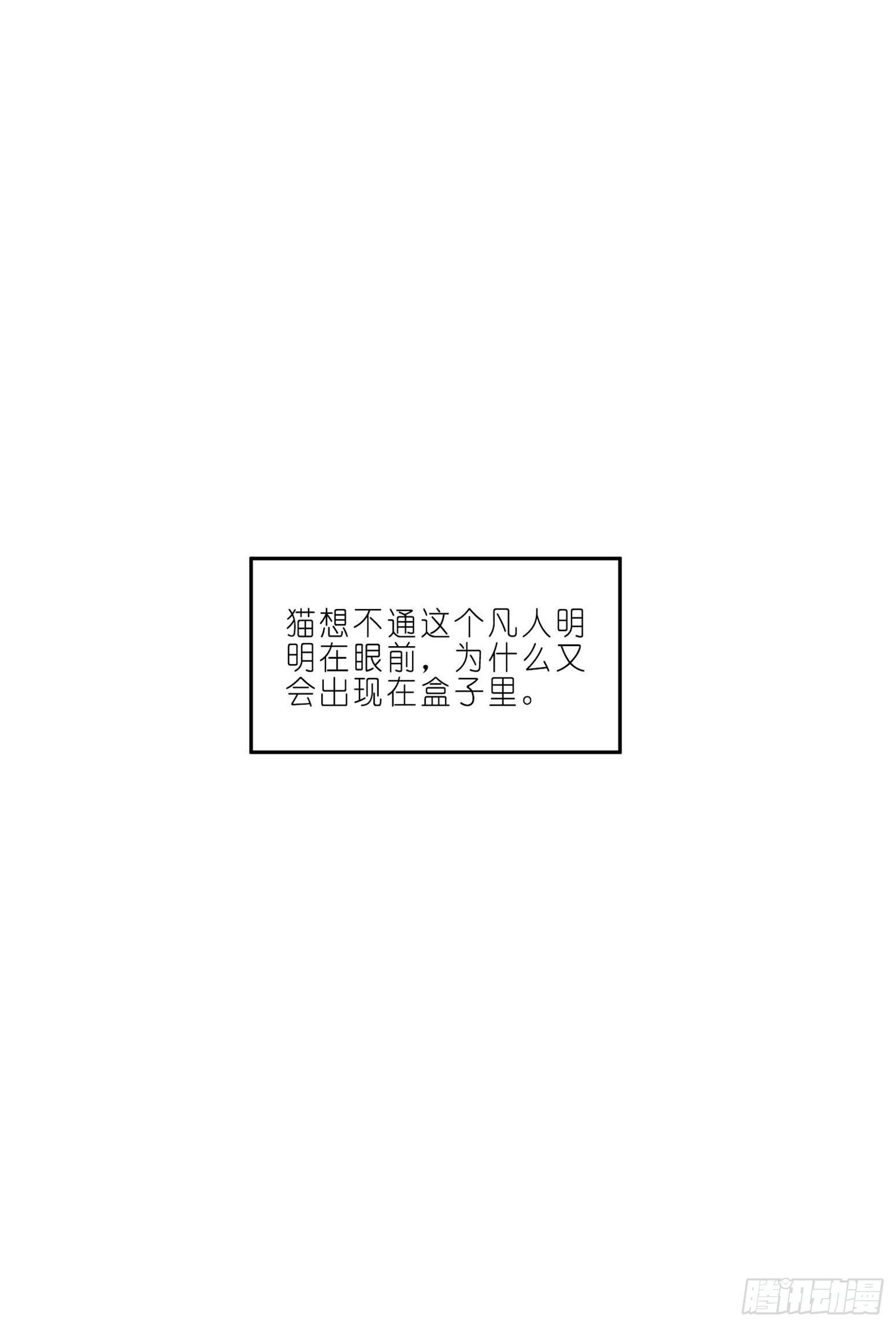 《做我的猫》03 秃了也强了 第25页