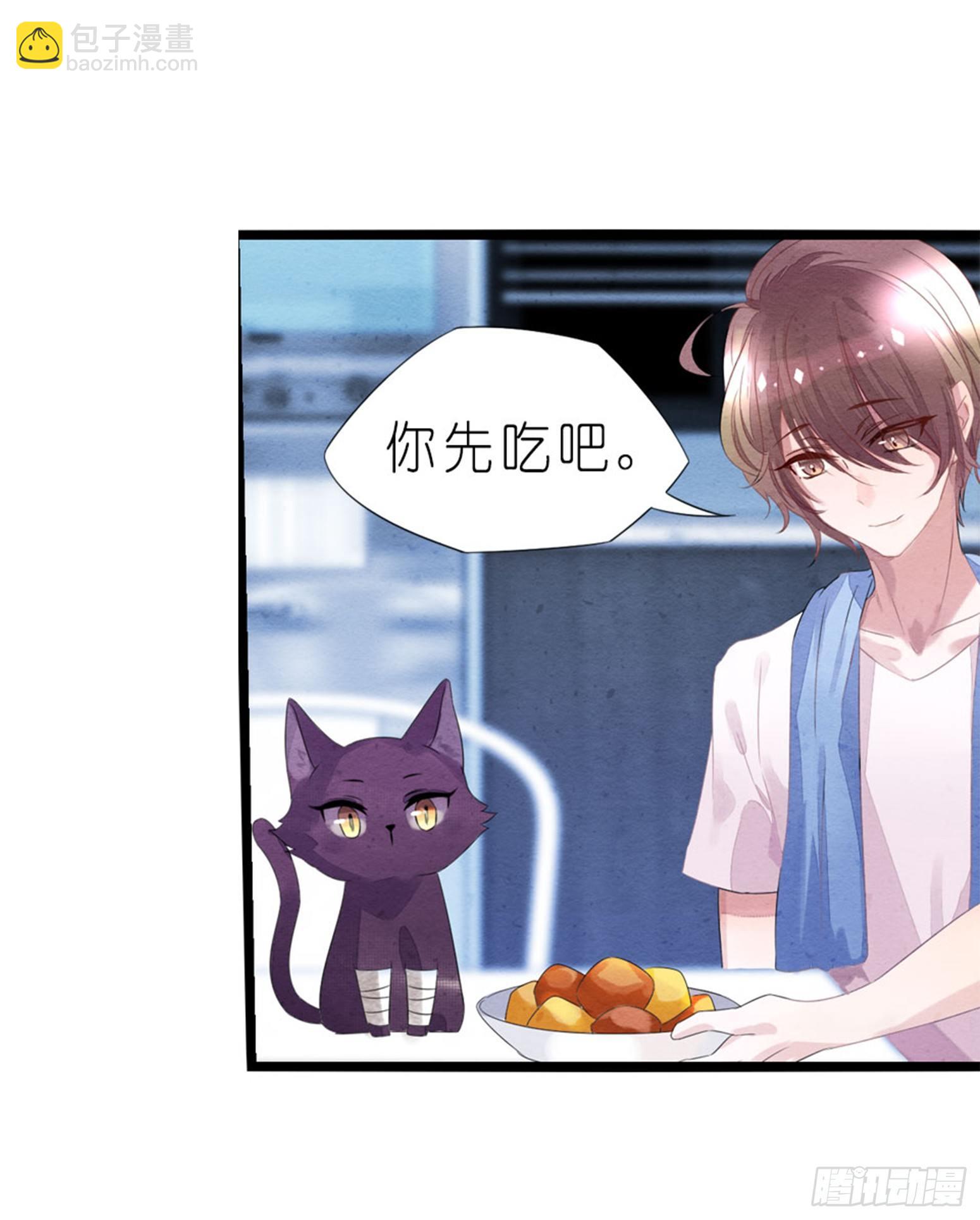 《做我的猫》03 秃了也强了 第6页