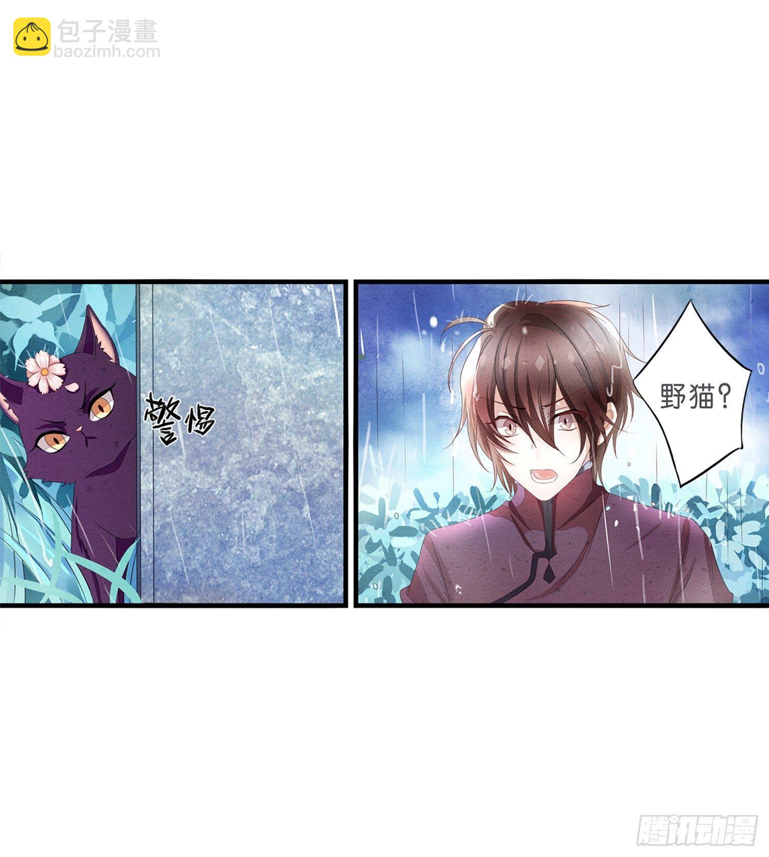 《做我的猫》01 天降猫咪 第13页