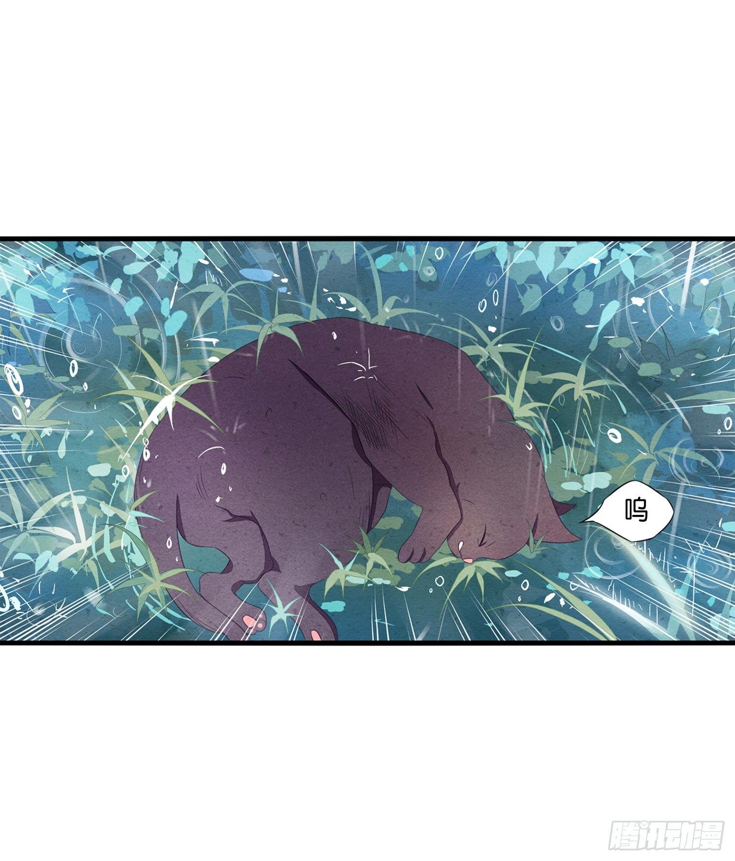 《做我的猫》01 天降猫咪 第16页
