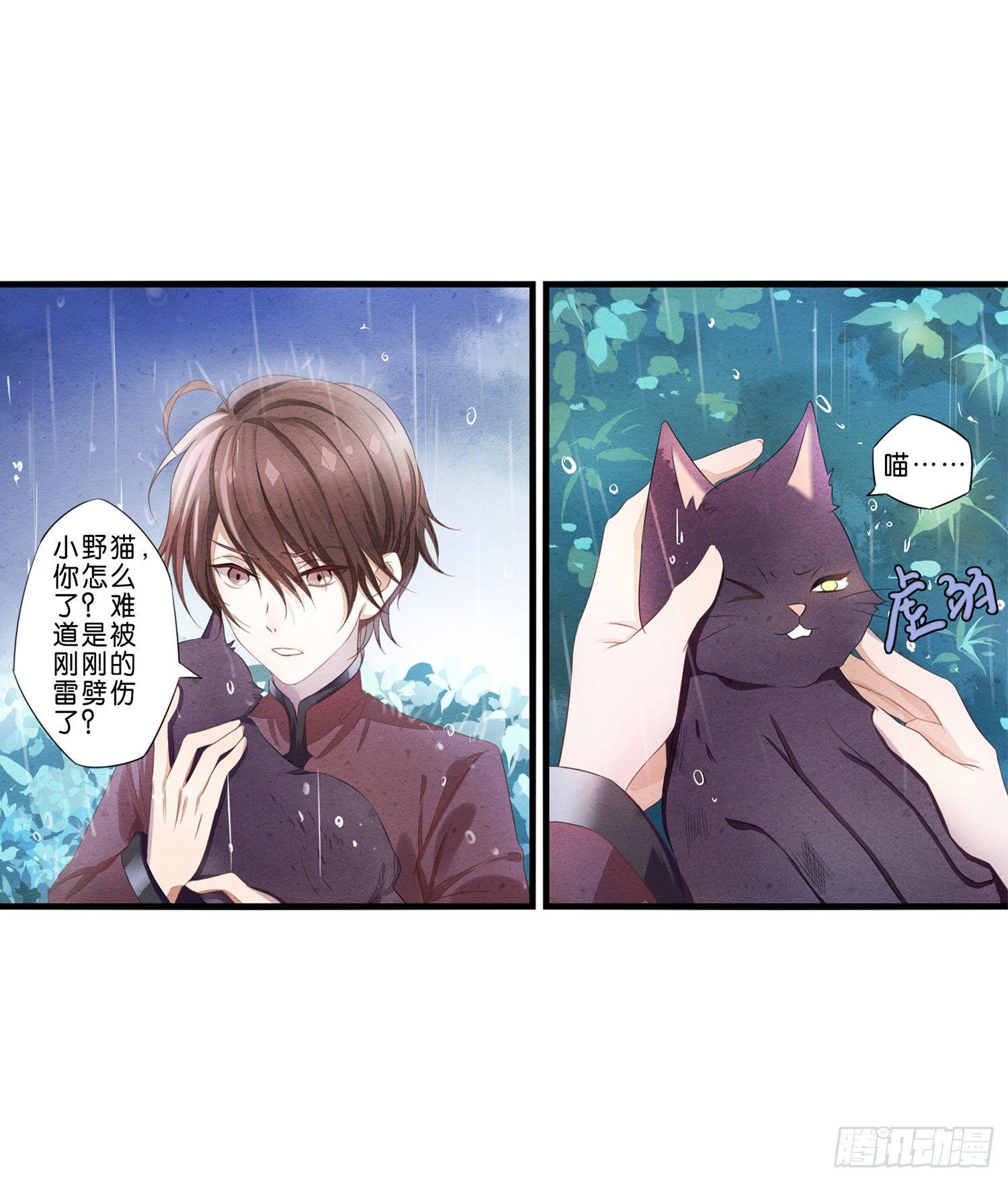 《做我的猫》01 天降猫咪 第17页