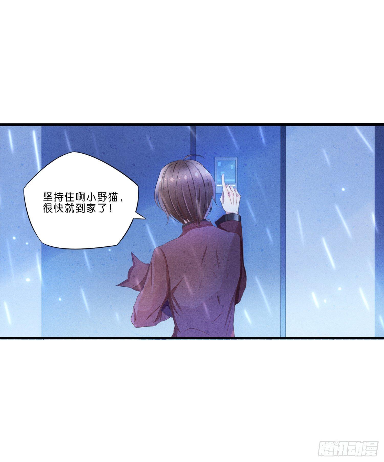 《做我的猫》01 天降猫咪 第19页