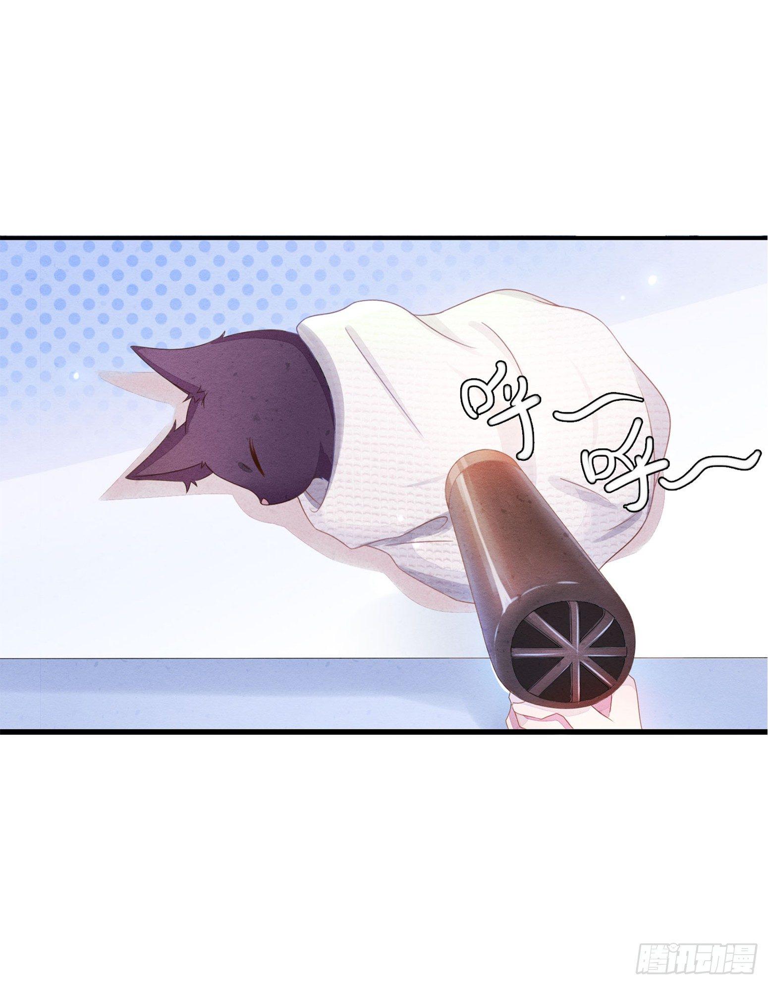 《做我的猫》01 天降猫咪 第23页