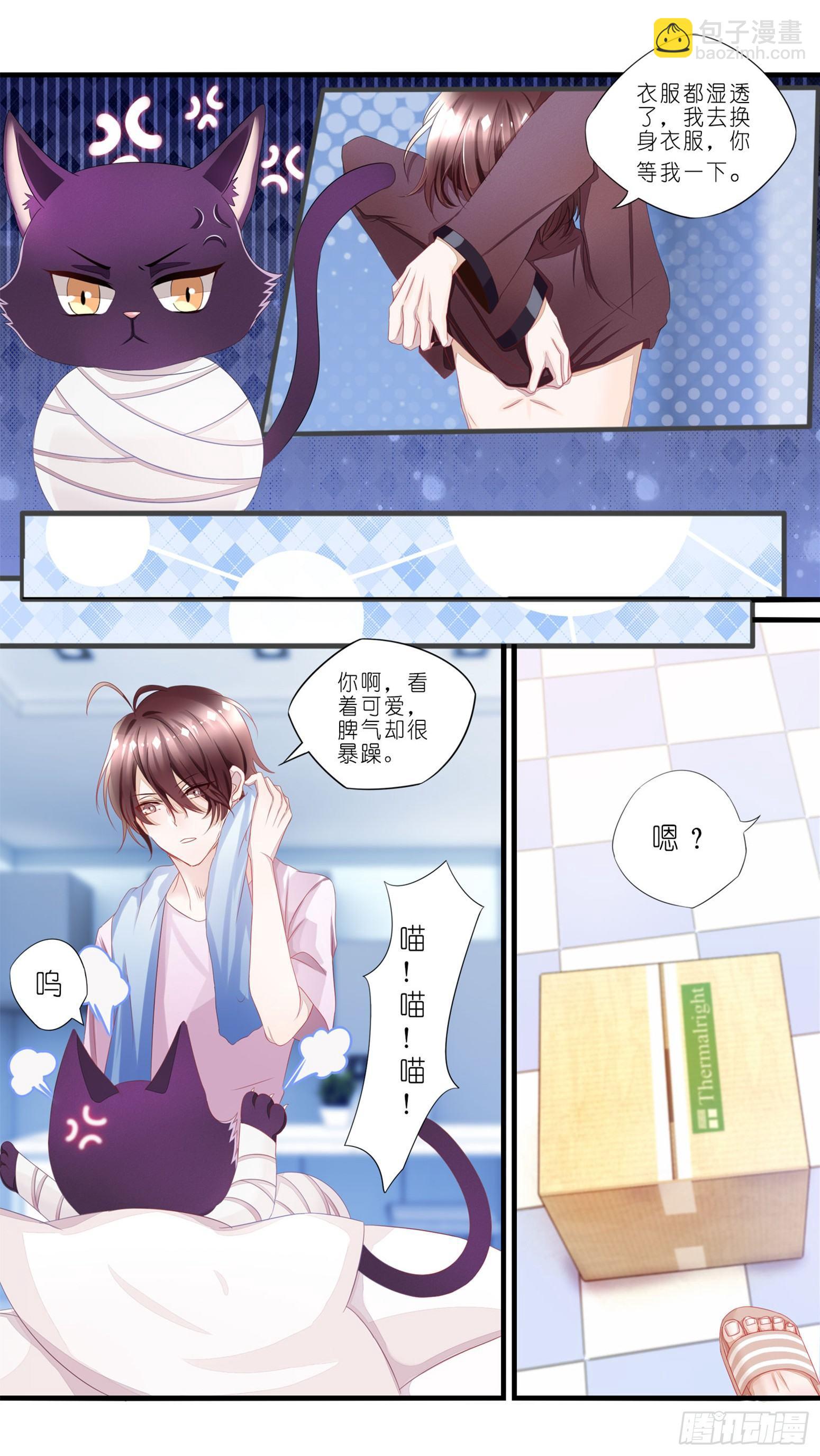 《做我的猫》01 天降猫咪 第27页