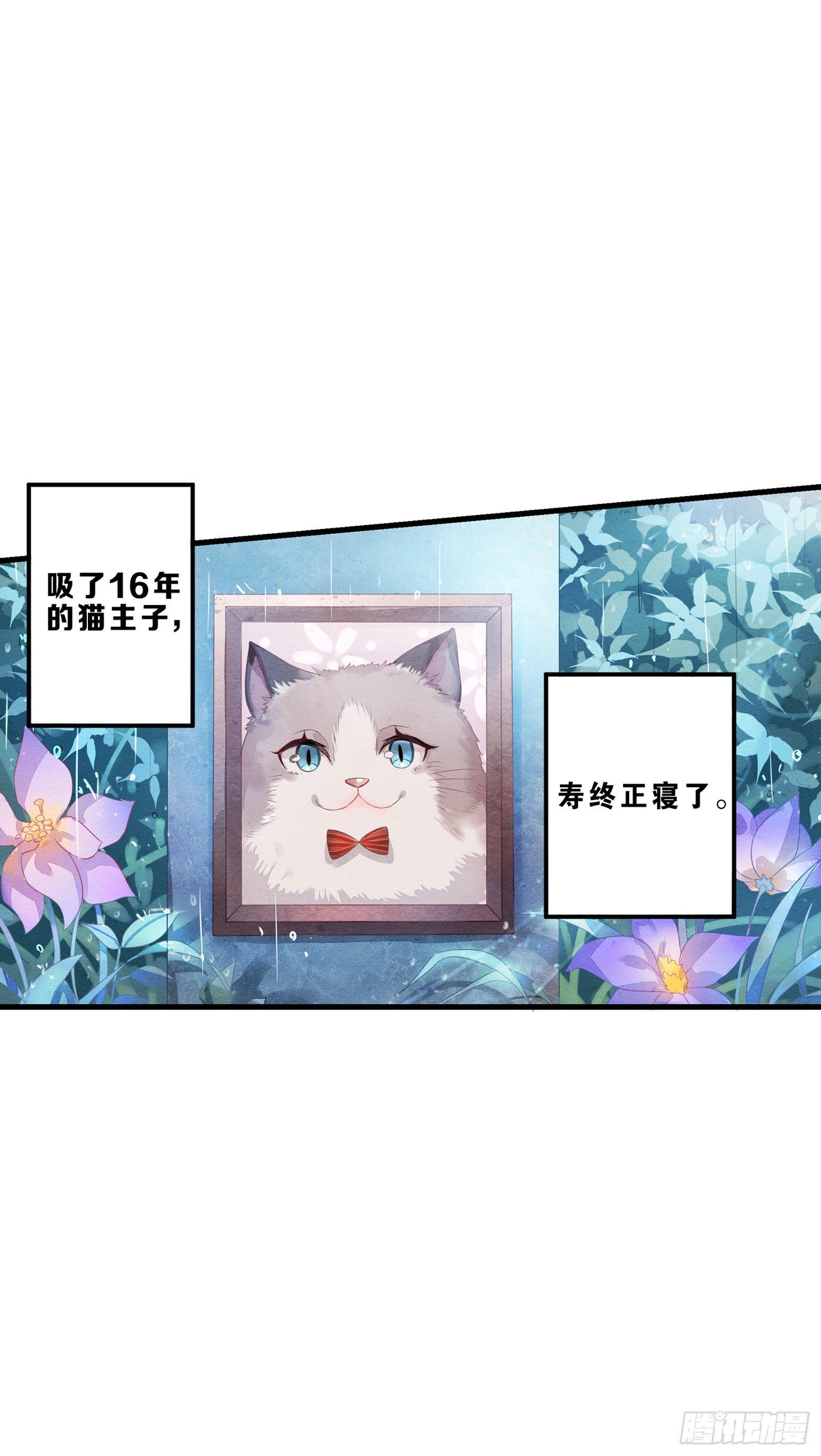 《做我的猫》01 天降猫咪 第9页