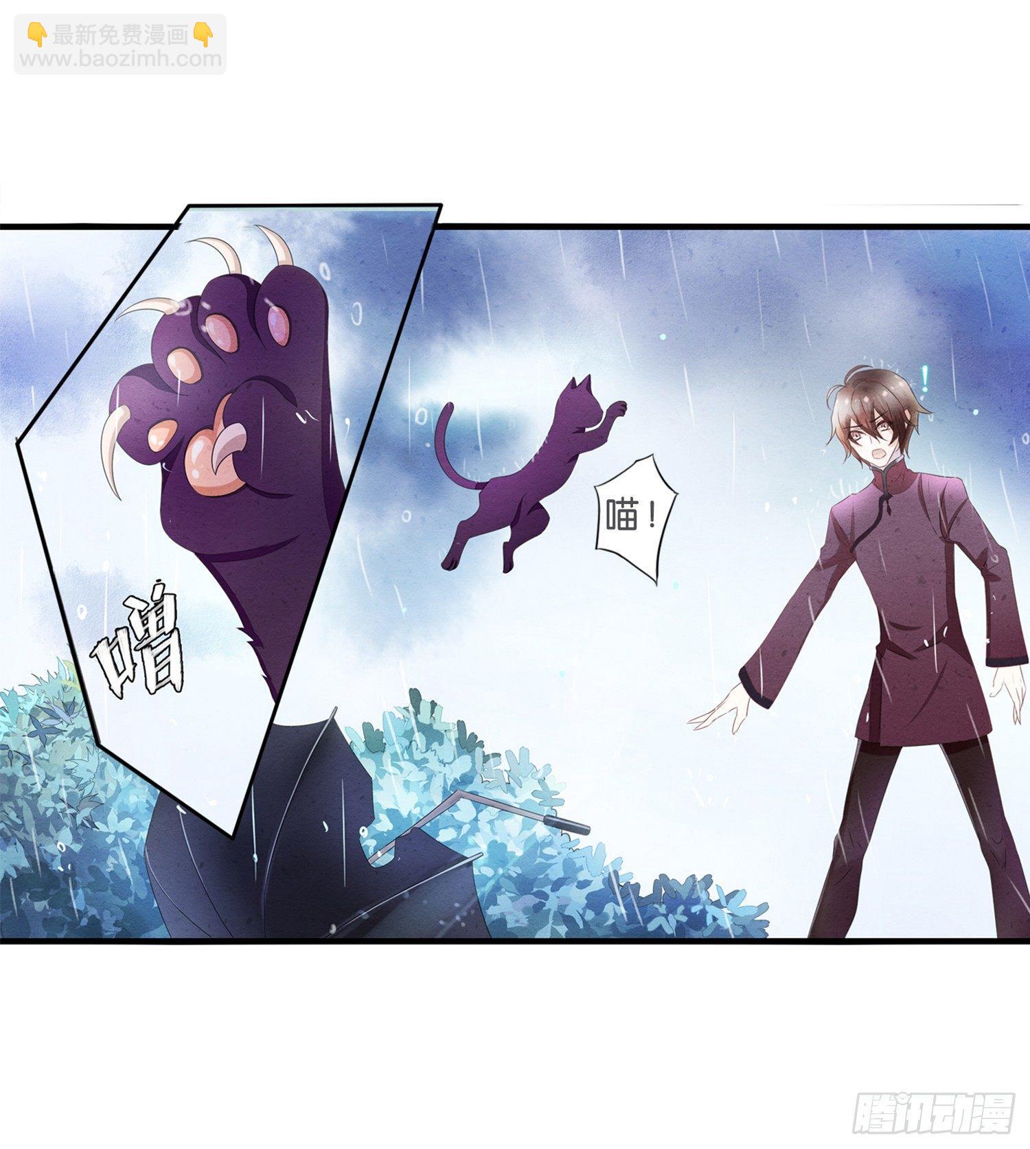 《做我的猫》01 天降猫咪 第14页
