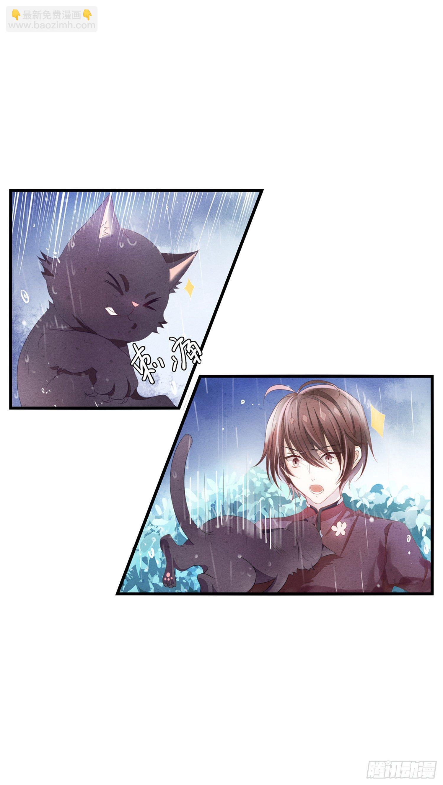 《做我的猫》01 天降猫咪 第15页