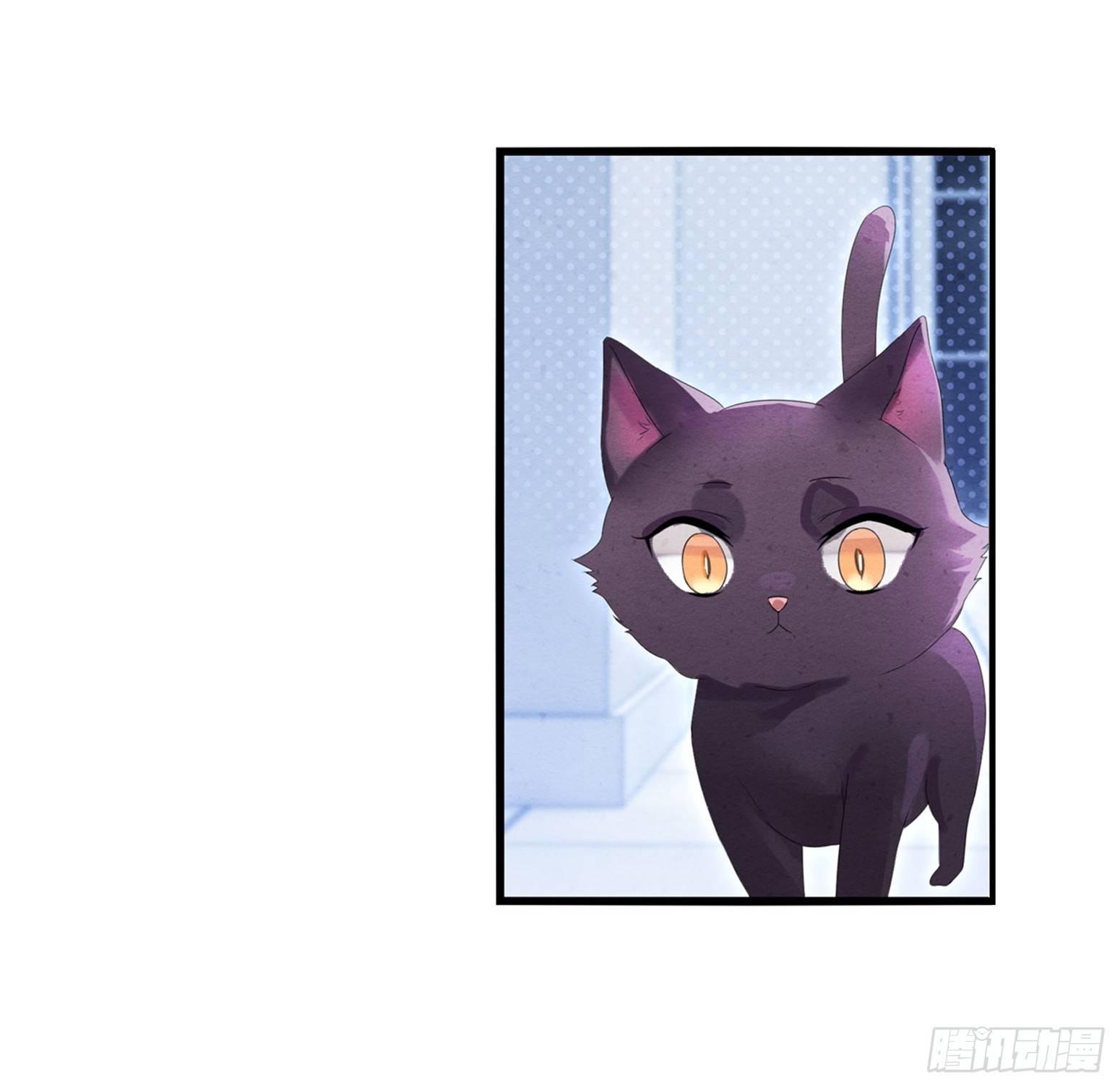 《做我的猫》03 秃了也强了 第22页
