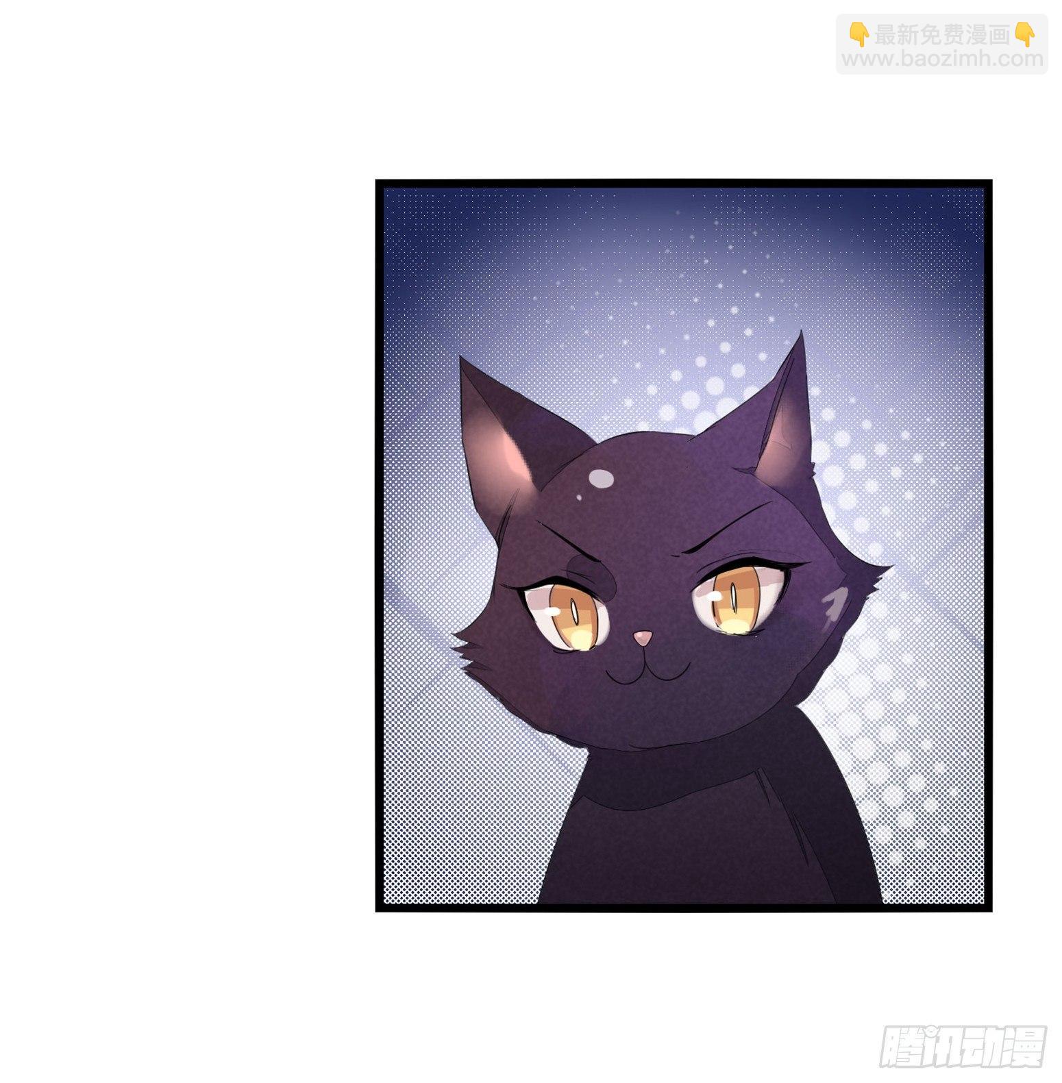 《做我的猫》03 秃了也强了 第30页