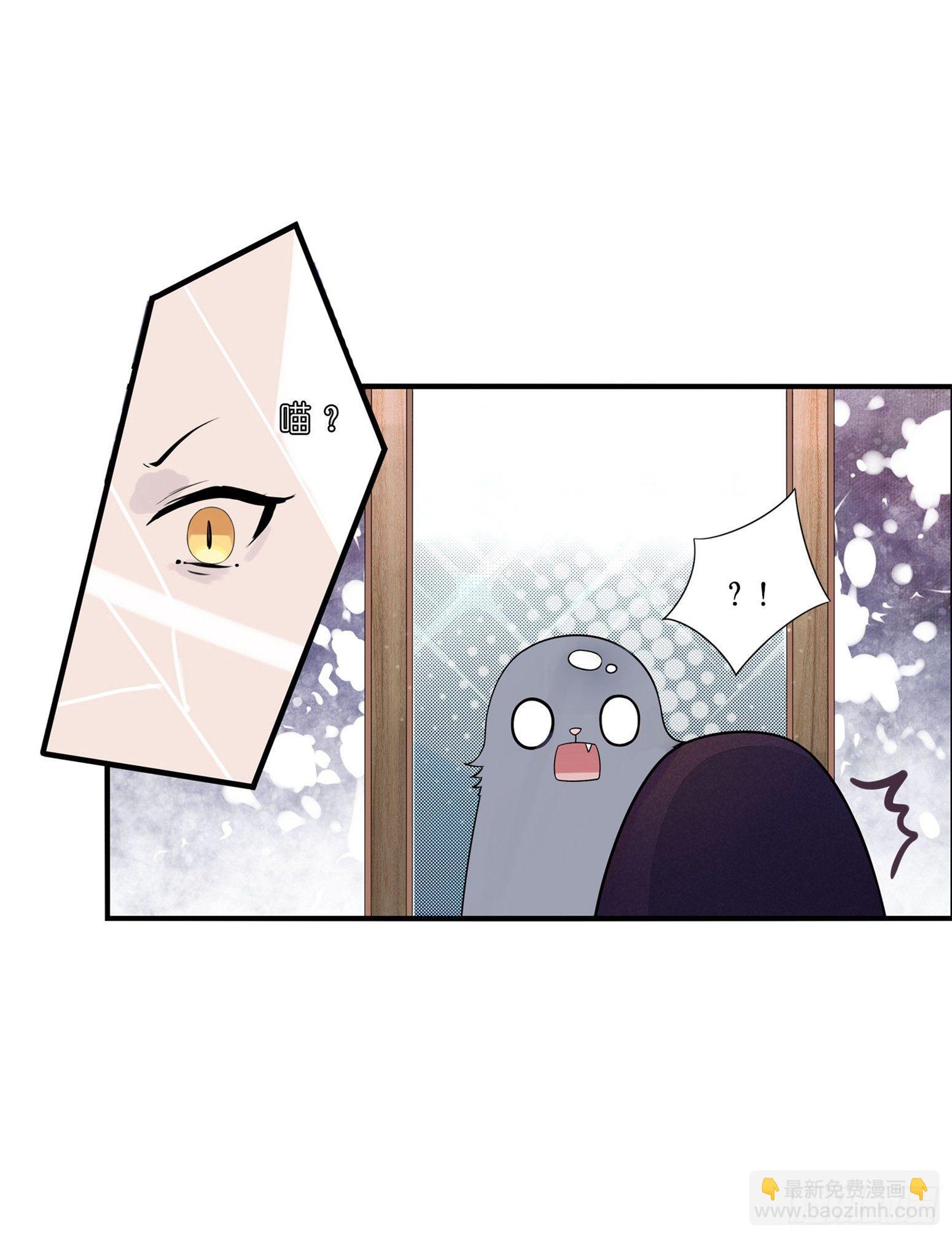 《做我的猫》03 秃了也强了 第32页