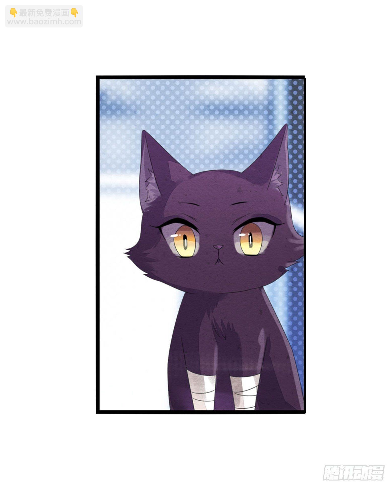 《做我的猫》03 秃了也强了 第8页